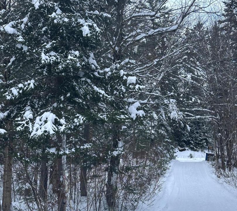 Photo of Others in Saint-Alexis-des-Monts
