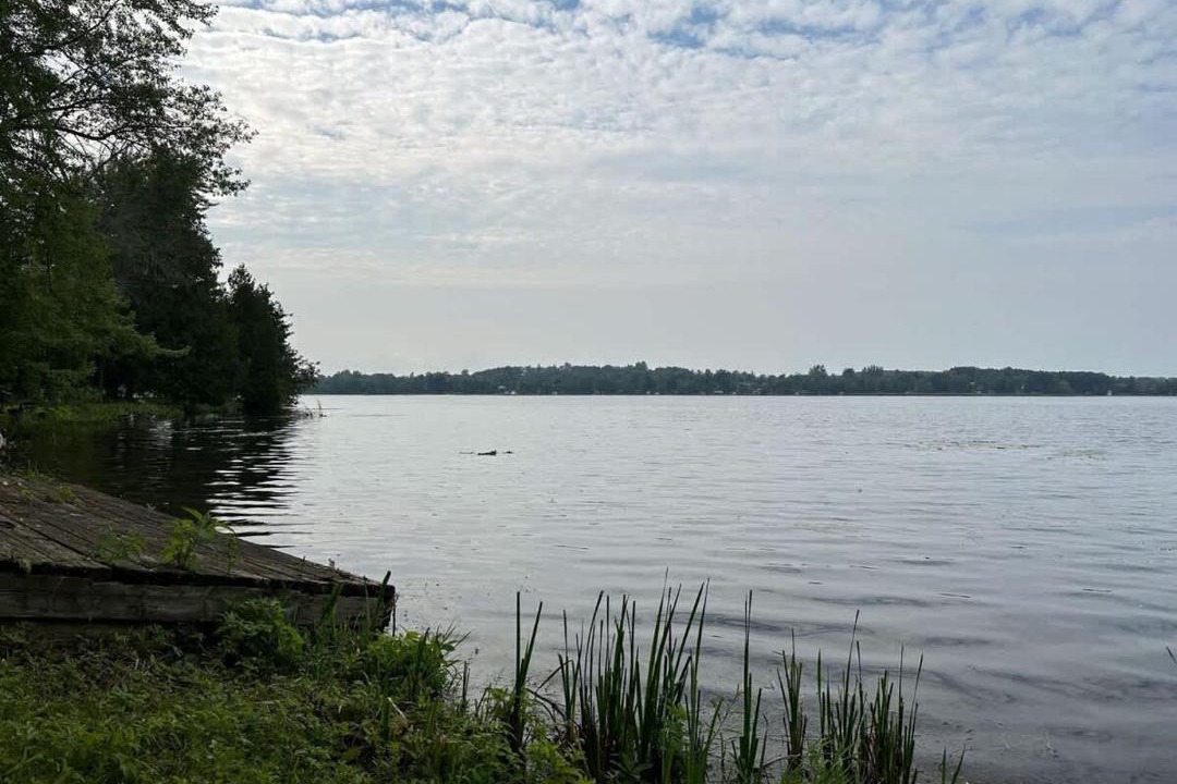 Photo of Others in Lakefield