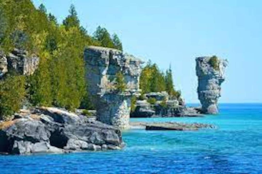 Photo of Others in Tobermory