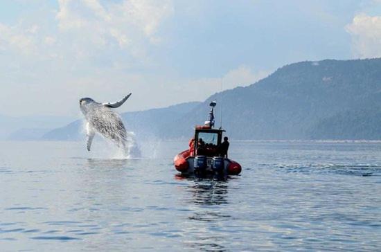 Photo of Others in Tadoussac