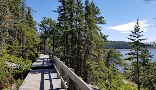 Photo of Others in Tadoussac