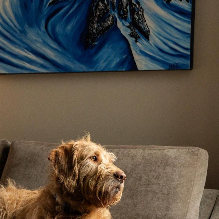 Photo of Others in Whistler Village