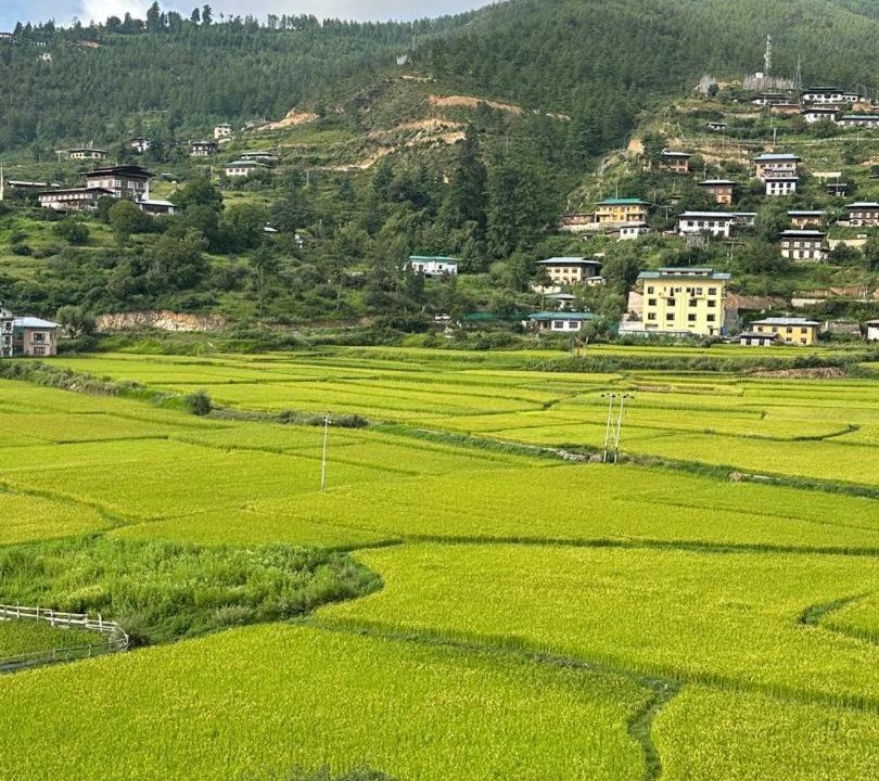Photo of Others in Paro