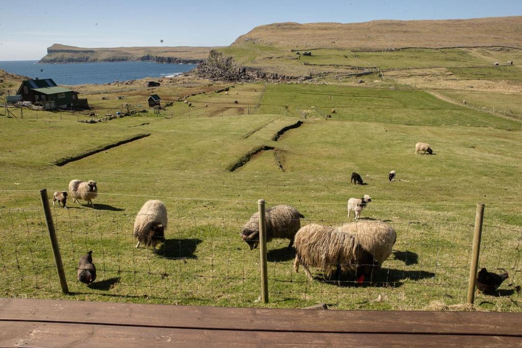 Photo of Others in Faroe Islands
