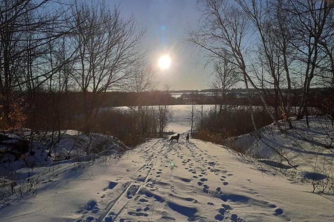 Photo of Others in Saint-Michel-de-Bellechasse
