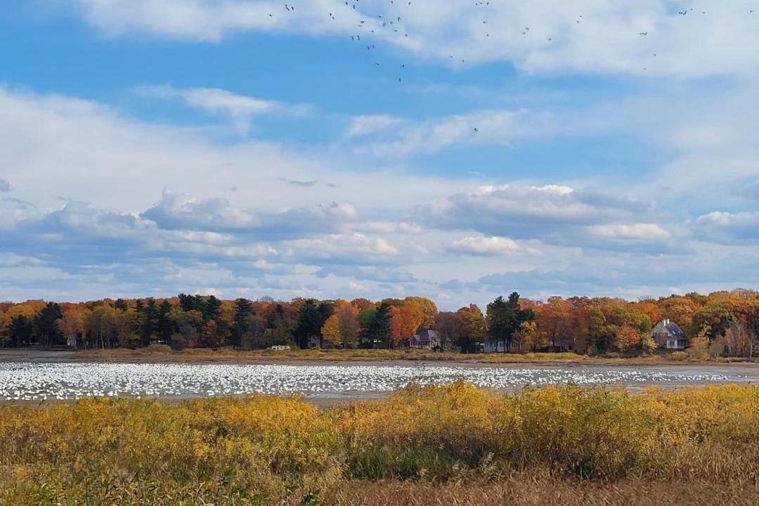 Photo of Others in Saint-Michel-de-Bellechasse