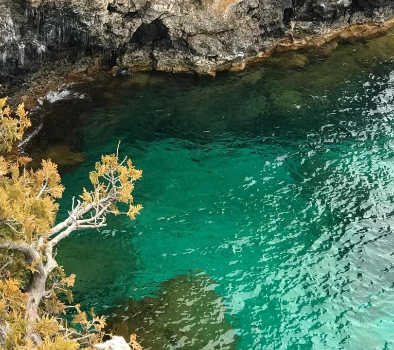 Photo of Others in Northern Bruce Peninsula
