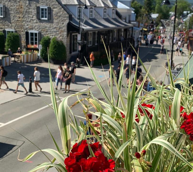 Photo of Others in Baie-St-Paul