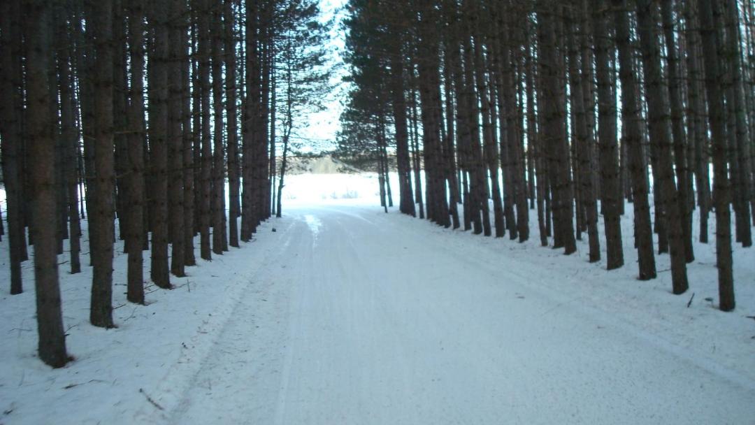 Photo of Others in Madawaska Valley