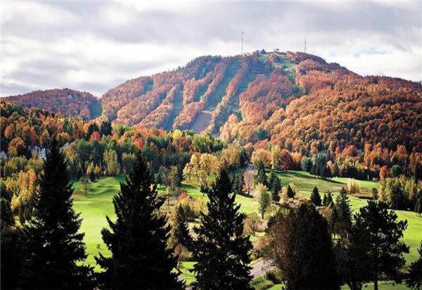 Photo of Others in Bromont