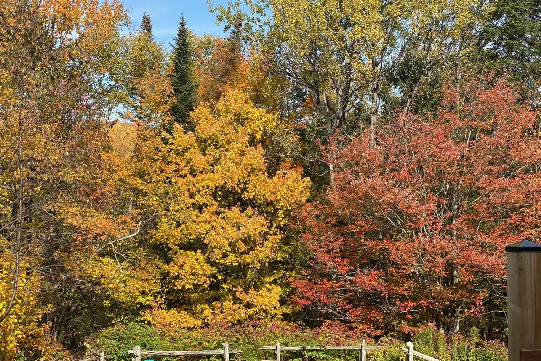 Photo of Others in Lac Superieur Village