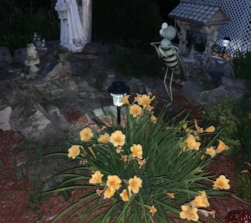 Photo of Others in Sacre Coeur