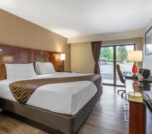 Surestay Hotel 
