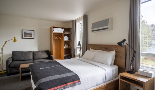 Room, 1 Queen Bed with Sofa bed