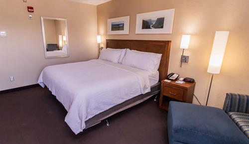 Standard Room, 1 King Bed, Accessible, Non Smoking