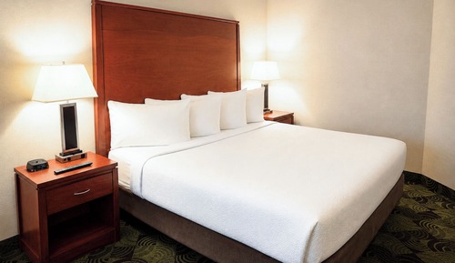 Business Suite, 1 King Bed with Sofa bed