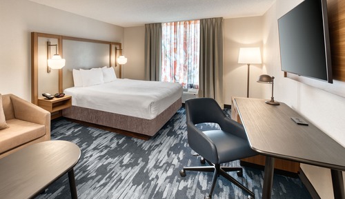 Room, 1 King Bed with Sofa bed