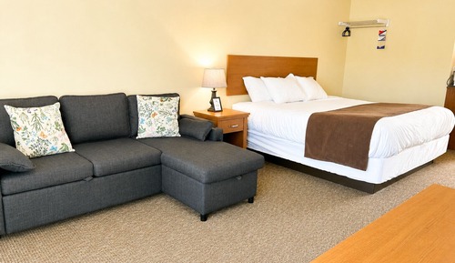 Room, 1 King Bed with Sofa bed