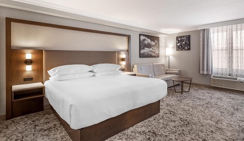 Standard Room, 1 King Bed, Non Smoking, Refrigerator (with Sofabed)