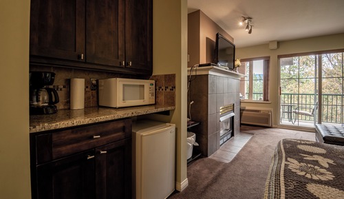 Signature Studio, Refrigerator & Microwave, Golf View
