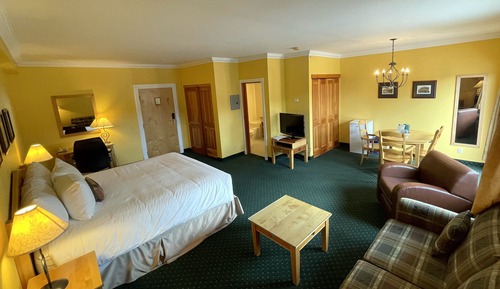 Junior Studio, 1 King Bed with Sofa bed, Balcony (No Pets)