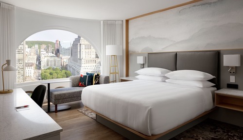 Club Room, 1 King Bed, Park View