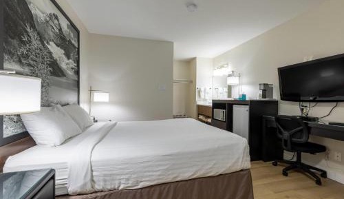 One-Bedroom Apartment Suite with Queen Bed - Non-Smoking