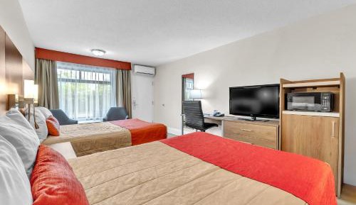 Standard Double Room with Two Double Beds
