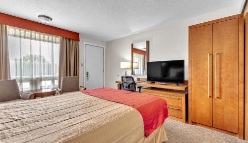 Superior Queen Room