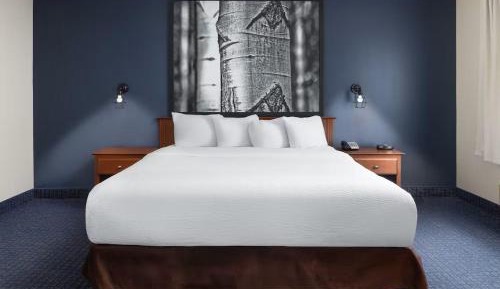 Deluxe King Suite