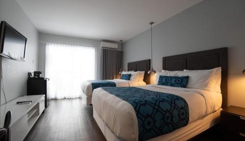 Double Room with Two Double Beds and Patio - First Floor/Non-Smoking