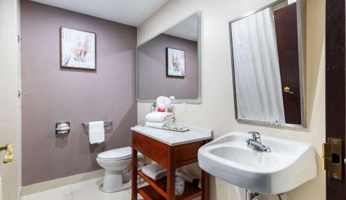 Efficiency King Suite - Disability Access/Non Smoking