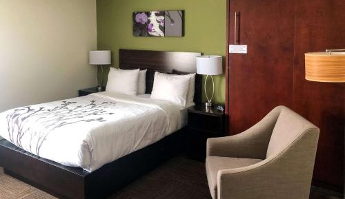 Standard Queen Room