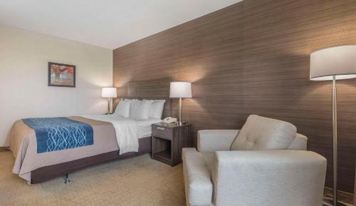 Standard Queen Room - Upper Floor