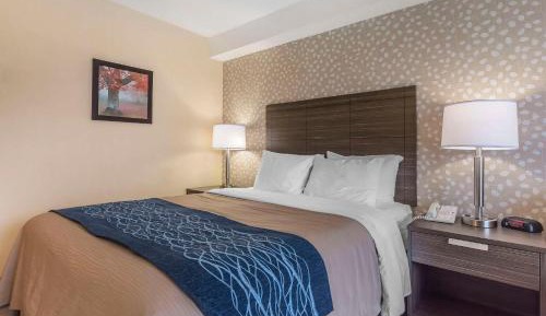 Deluxe Queen Room with Sofa Bed - Ground Floor