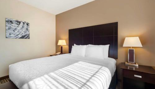 King Suite with Sofa Bed and Kitchenette