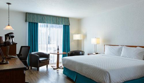 Standard King Room