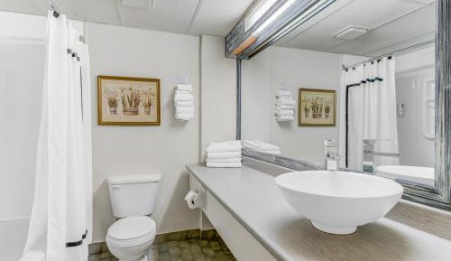 Superior  Room with Two Queen Beds