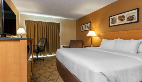Superior King Room