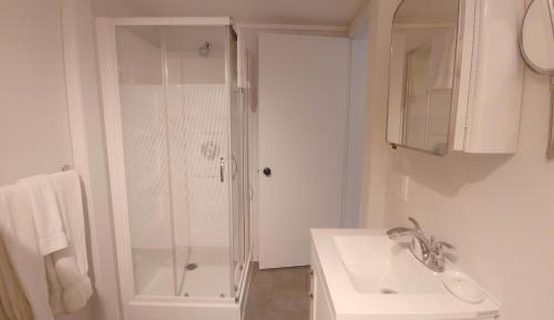 Family Room with Shower