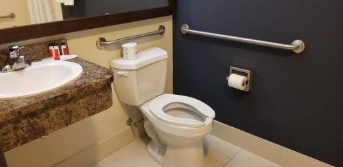 Queen Room - Disability Access - Non-Smoking