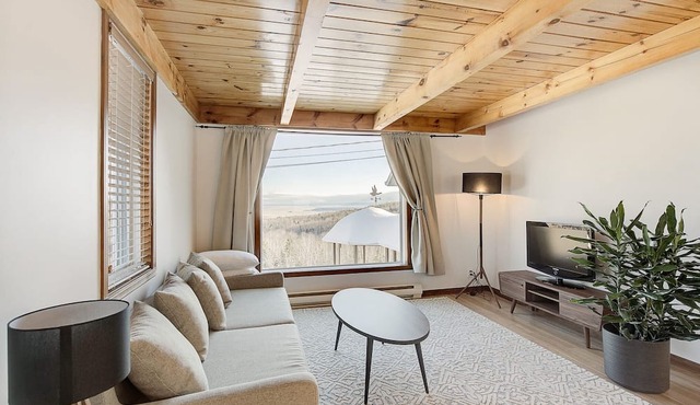 Cute Apt with Views with Fireplace, 10 min Massif
