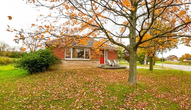 Bird-watching haven in Dundas Ontario