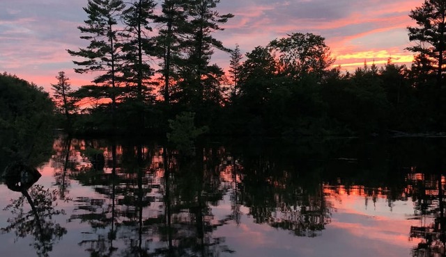 Island Retreat on Lower Buckhorn