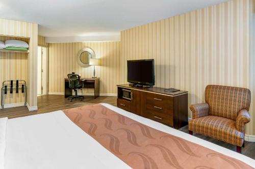 Quality Hotel 
